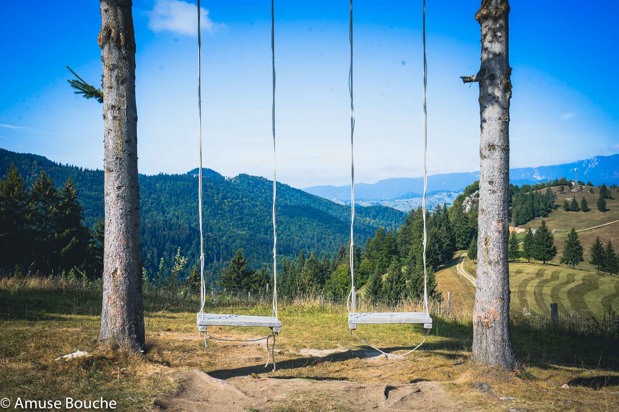 Amfiteatrul Transilvania